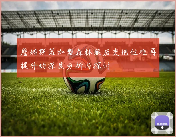 詹姆斯若加盟森林狼历史地位难再提升的深度分析与探讨
