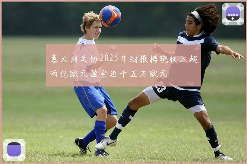 意大利足协2025年财报揭晓收入超两亿欧元盈余近十五万欧元